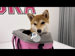 犬猫用自転車バスケット バックパックキャリア 取り外し可能 折りたたみ式ペット用自転車フロントバスケット